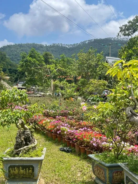 Sun loungers and garden path at Cat Ba Love House